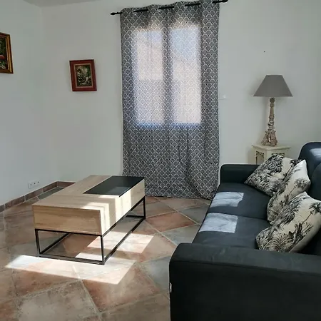 Des Oliviers Saint-Christol-de-Rodieres